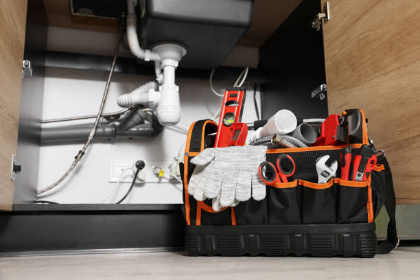 Best Residential Plumbing Services  in Zionsville, IN