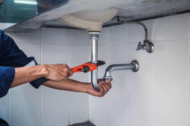Best Plumbing Services Near Me  in Zionsville, IN