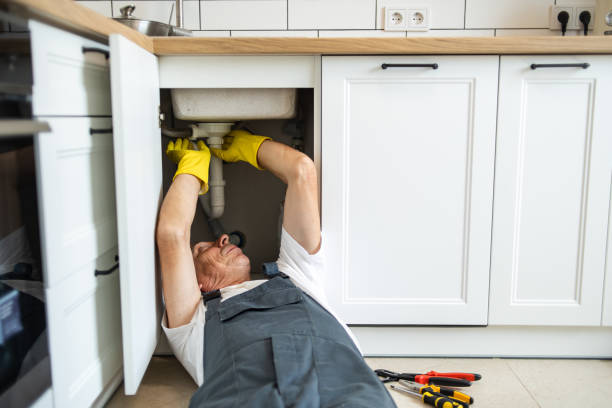 Best Drain Cleaning Services  in Zionsville, IN