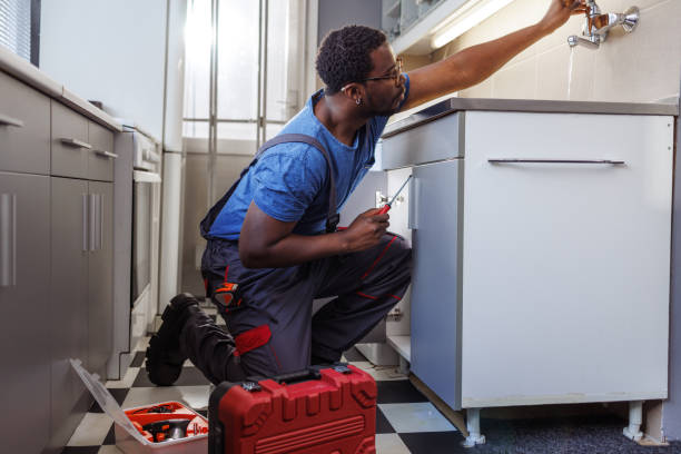 Best Same-Day Plumbing Service  in Zionsville, IN