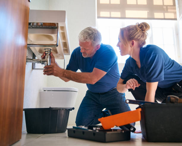 Best Pipe Repair Near Me  in Zionsville, IN